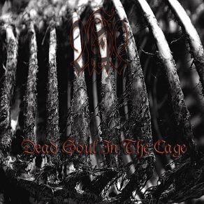 Download track Dead Soul In The Cage Aras