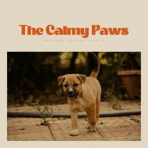 Download track The Call Of The Current Dog Calming Music