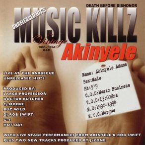 Download track Fly Away Akinyele