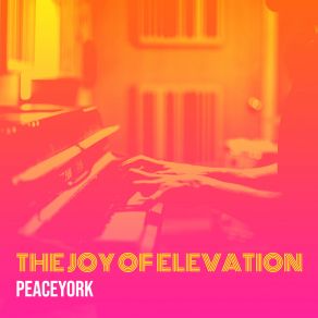 Download track The Joy Of Elevation Peaceyork