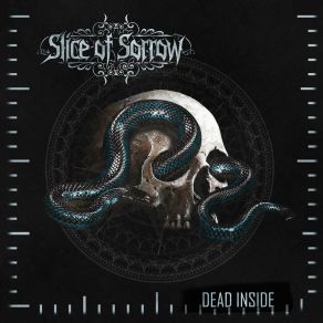 Download track Disgust Slice Of Sorrow