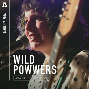 Download track Party Song (Audiotree Live Version) Wild Powwers