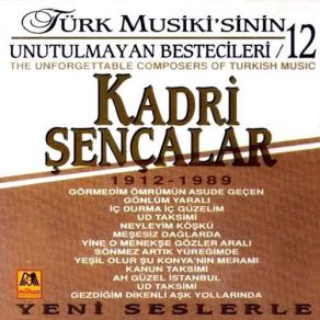 Download track Bir Derd Gibi Akşam Çeşitli SanatçılarFaruk Salgar