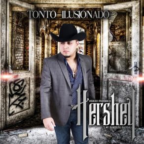 Download track Tonto Ilusionado Su Norteño Banda, Hershy