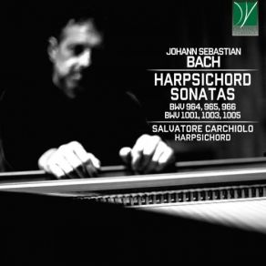 Download track Sonata No. 3 In G Major, BWV 1005: IV. Allegro Assai' Salvatore Carchiolo