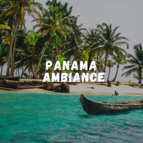 Download track Panama Jungle At Night A Light In The Darkness