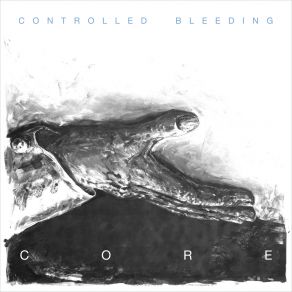 Download track Land Filter Controlled Bleeding