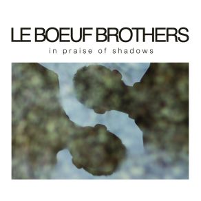 Download track We Thought They Were Planets... Le Boeuf Brothers