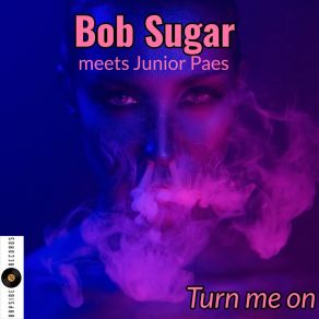 Download track Turn Me On (Extended Mix) Bob Sugar