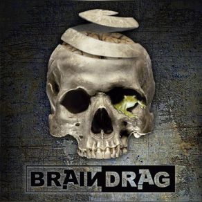 Download track The Rage Of Regeneration Braindrag