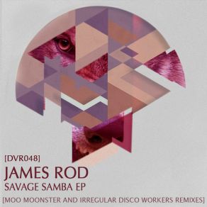 Download track Disco Samba Du Thanga [Irregular Disco Workers Remix] James Rod