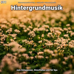 Download track Hintergrundmusik Pt. 25 Entspannungsmusik