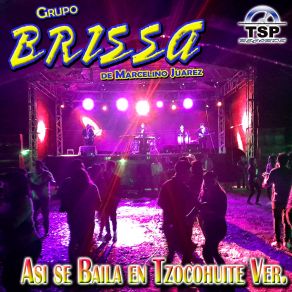 Download track Rosita (En Vivo) Grupo Brissa