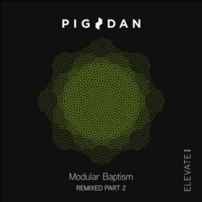 Download track Modular Baptism (Anna V. Remix) Pig & Dan