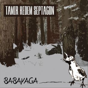 Download track Babayaga Tamir Kedem Septagon