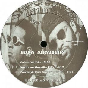 Download track Voices Within Born Sirvibers