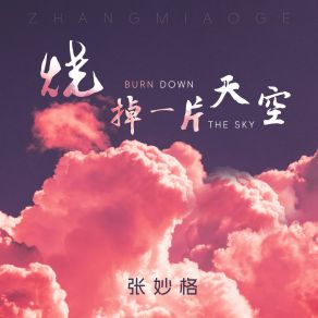 Download track 烧掉一片天空 (伴奏) 张妙格