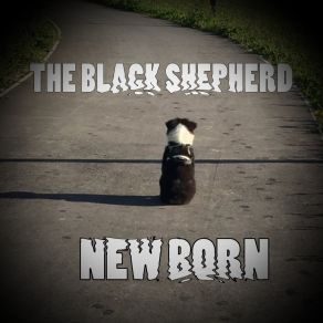 Download track Black Shepherd Black Shepherd