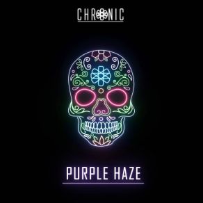 Download track Purple Haze The Chronic