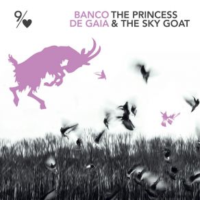 Download track The Princess And The Sky Goat (Ornah-Mental & Dirk Schloemer Mix) Banco De Gaia