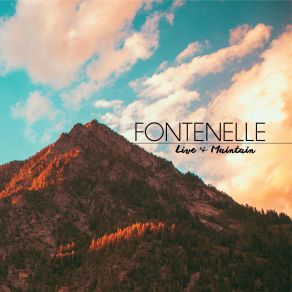 Download track Transparent Frequencies Fontenelle