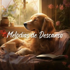 Download track Hora De La Siesta Perritos Fantásticos