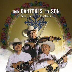 Download track El Aguanieve Trío Cantores Del Son