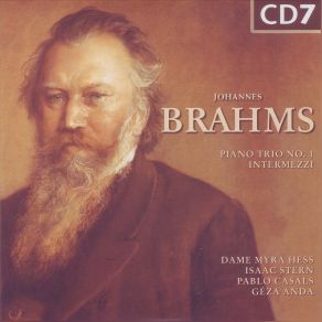 Download track Piano Trio No. 1 In B Major Op. 8: IV. Allegro Johannes Brahms