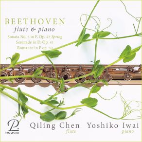 Download track Serenade For Flute And Piano In D Major, Op. 41: VI. Adagio Yoshiko Iwai, Qiling Chen