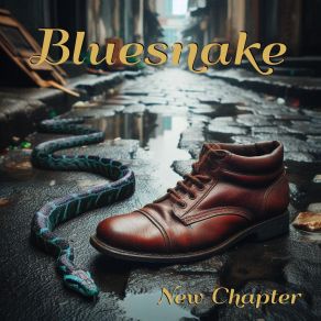 Download track Was It You? Bluesnake