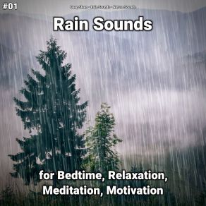 Download track Chilling Rain Sounds Nature Sounds