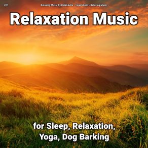Download track Energizing Meditation Music Relaxing Music