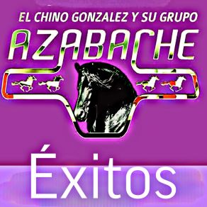 Download track Hoy Todo Terminó Su Grupo Azabache