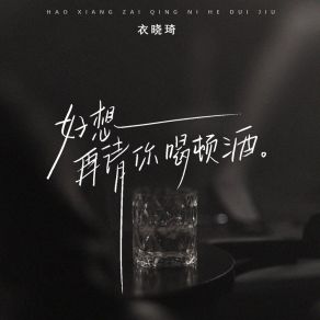 Download track 好想再请你喝顿酒 (DJ名龙版) Dj名龙