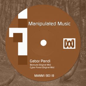 Download track Cyber Forest Gabor Pandi