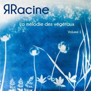 Download track Rosmarinus Officinalis ЯRacine