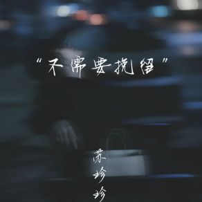 Download track 不需要挽留 (深情emo版) 苏珍珍