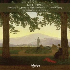 Download track 11. Serenade In D Major Op. 25 - Allegro Scherzando E Vivace Ludwig Van Beethoven