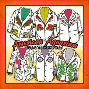 Download track Burn Flicker Die American Aquarium