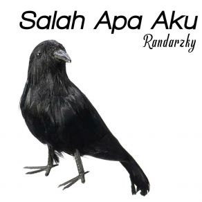 Download track Salah Apa Aku (Erli Reja Remix) RandarzkyErli Reja