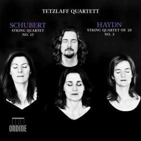 Download track Haydn: String Quartet In G Minor Op. 20 No. 3 Hob. III: 33 - I. Allegro Con Sp... Tetzlaff Quartett