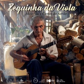 Download track Amazônia Está Em Chamas Zequinha Da Viola