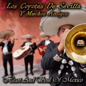 Download track Querida Mariachi (Instrumental) Muchos Amigos