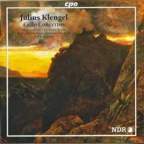 Download track Cello Concerto No. 1 In A Minor, Op. 4: Andante Con Moto Bjarte Engeset, Christoph Richter, Xenia Jankovic, Radio-Philharmonie Hannover Des NDR, Julius Klengel