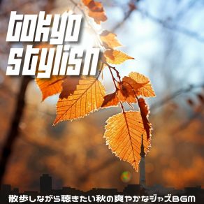 Download track Amber Autumn Breeze Tokyo Stylish