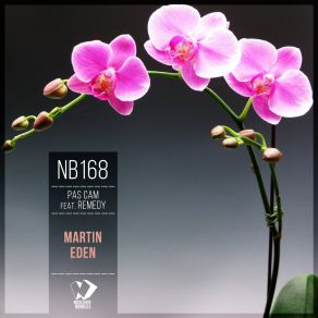 Download track Martin Eden (Sunrise Mix) Remedy