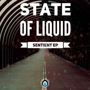 Download track Sentient (Original Mix) State Of Liquid