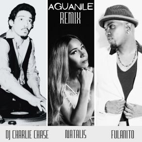 Download track Aguanile (DJ Charlie Chase Remix - Extended Edit) FulanitoDj Charlie Chase