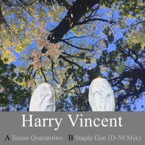 Download track Staple Gun (D-50 Mix) Harry Vincent