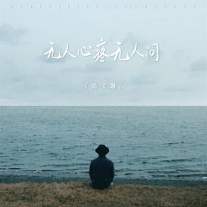 Download track 无人心疼无人问 高宝强